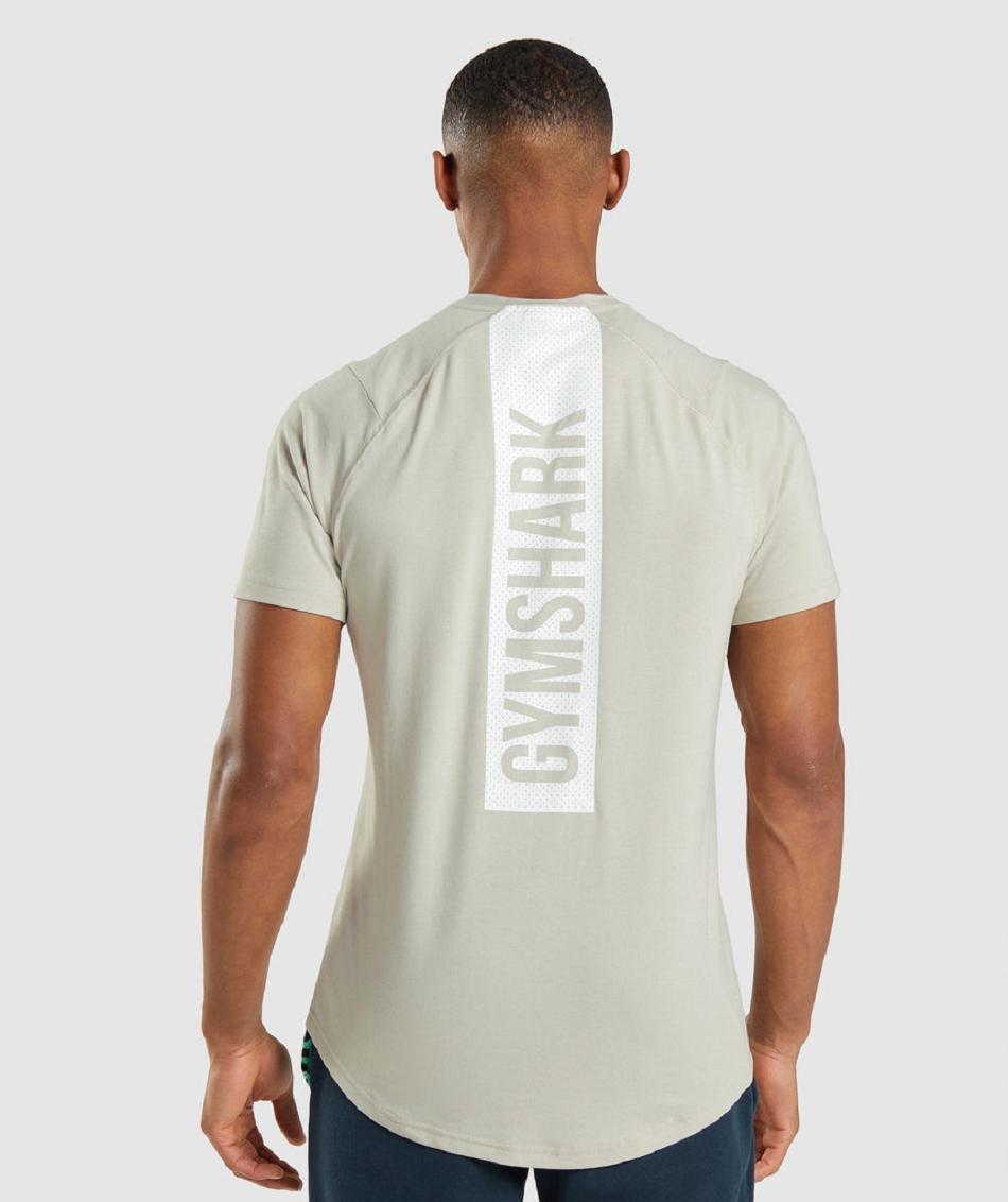 Gymshark Bold Muške T Shirts Sive | HR 2405WNB